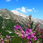 In Infinity Apartment Bansko