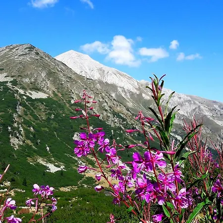 In Infinity Apartament Bansko
