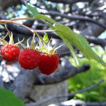 In Infinity Apartament