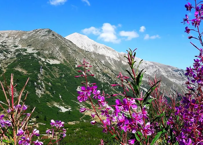 In Infinity Apartmán Bansko