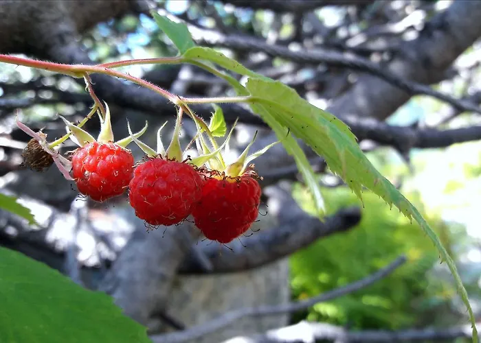 In Infinity Apartmán